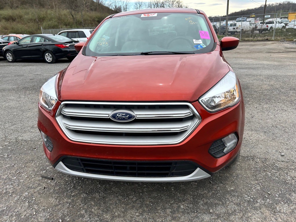 2019 Ford Escape Image 4