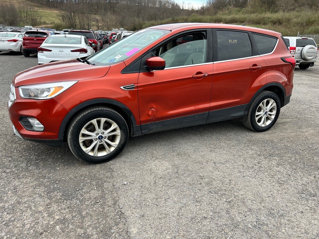 2019 Ford Escape Image 5