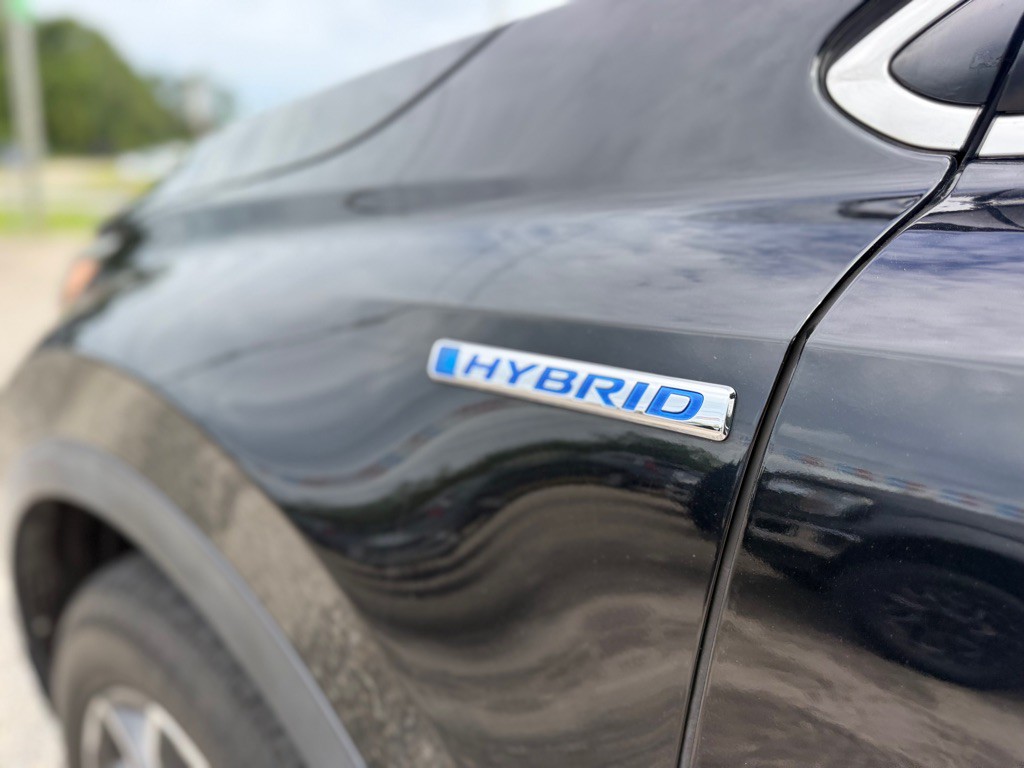 2019 Honda CR-V Image 7