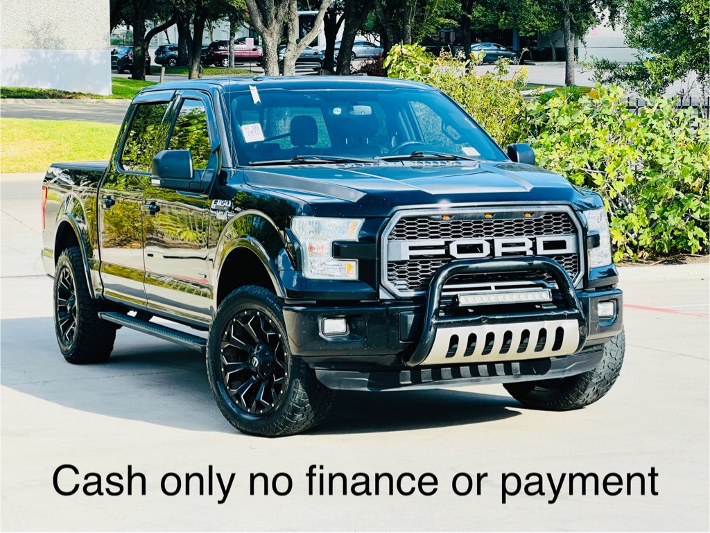 2015 Ford F-150 Image 1