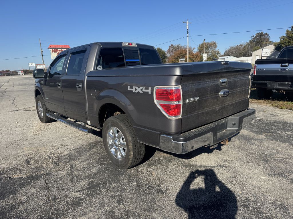 2014 Ford F-150 Image 3