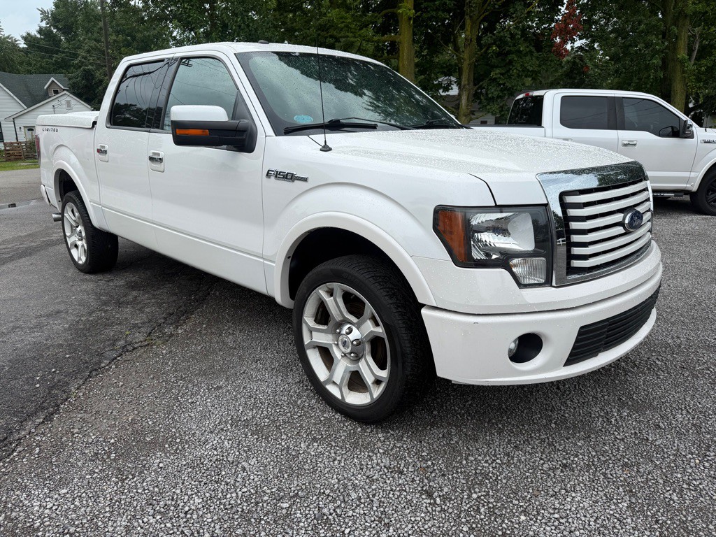 2011 Ford F-150 Image 3