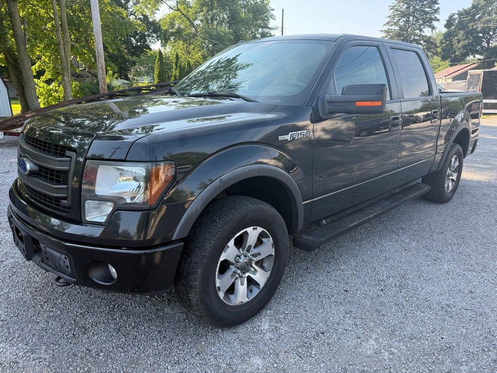 2014 Ford F-150 Image 1
