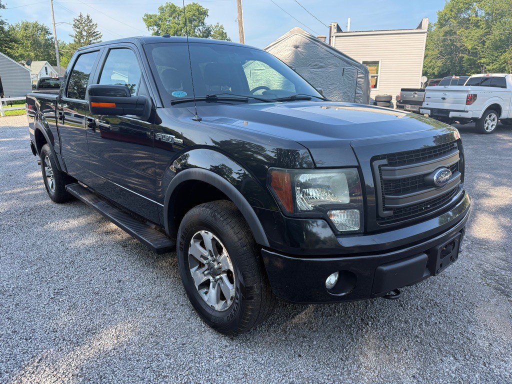 2014 Ford F-150 Image 3