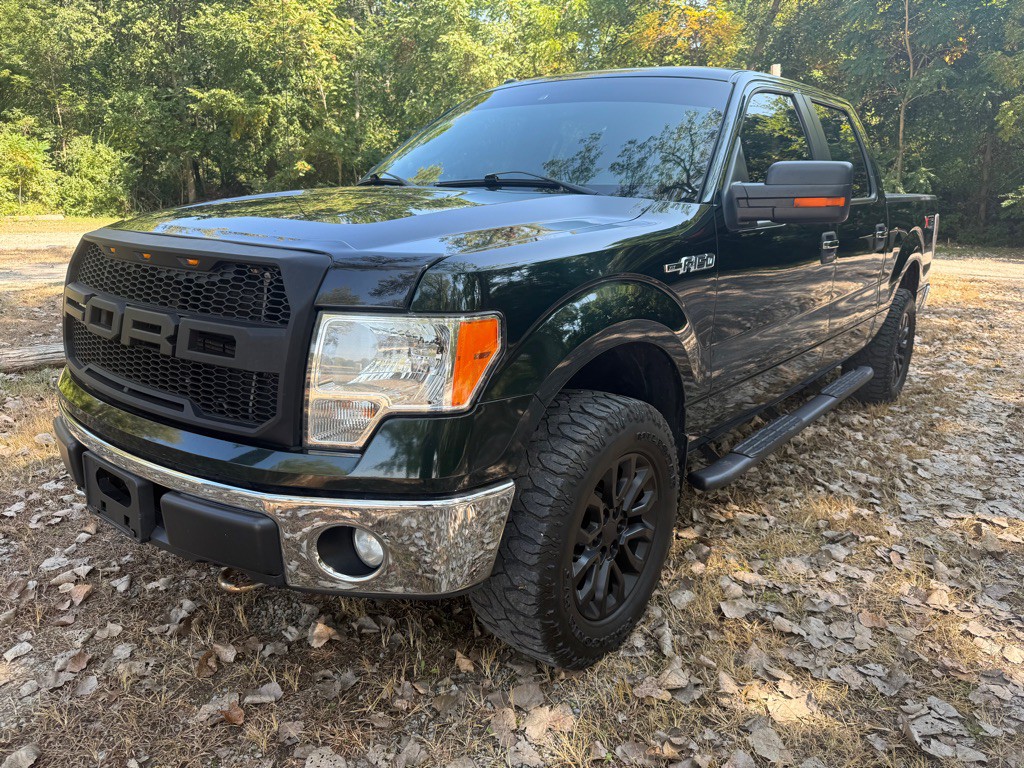 2013 Ford F-150 Image 1
