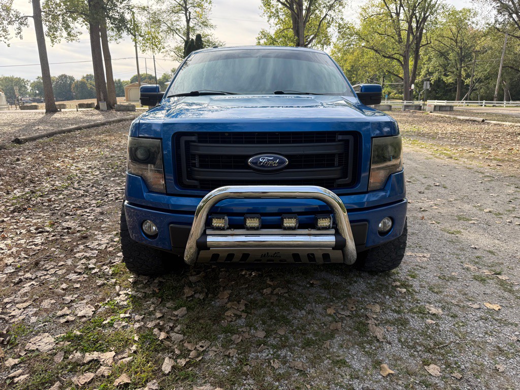 2014 Ford F-150 Image 2