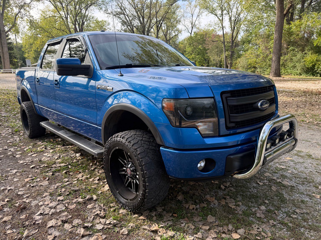 2014 Ford F-150 Image 3