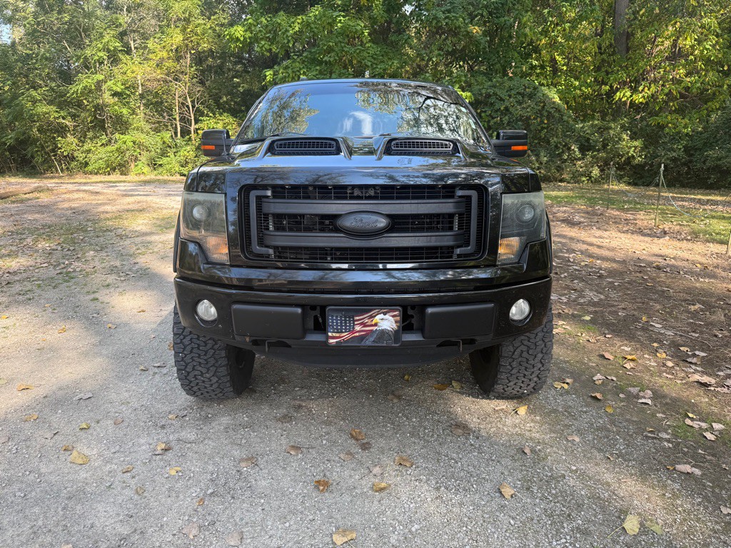 2014 Ford F-150 Image 2