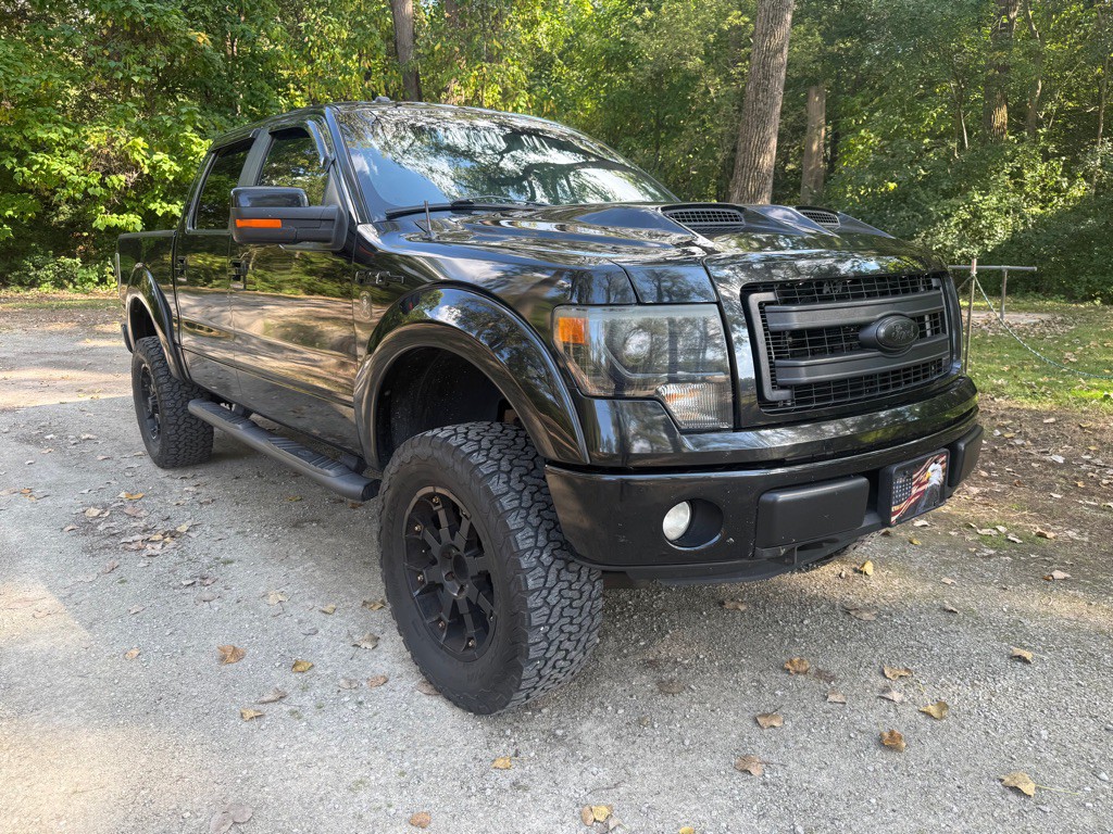 2014 Ford F-150 Image 3