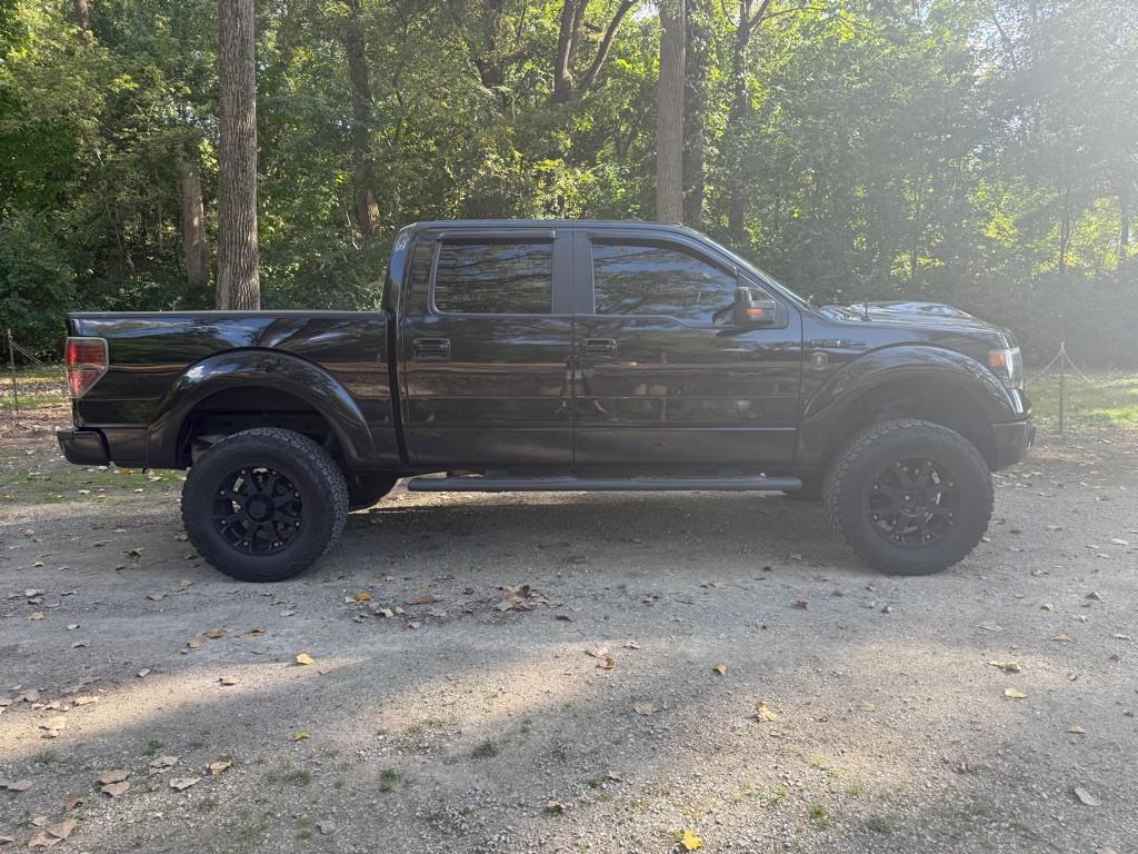 2014 Ford F-150 Image 4