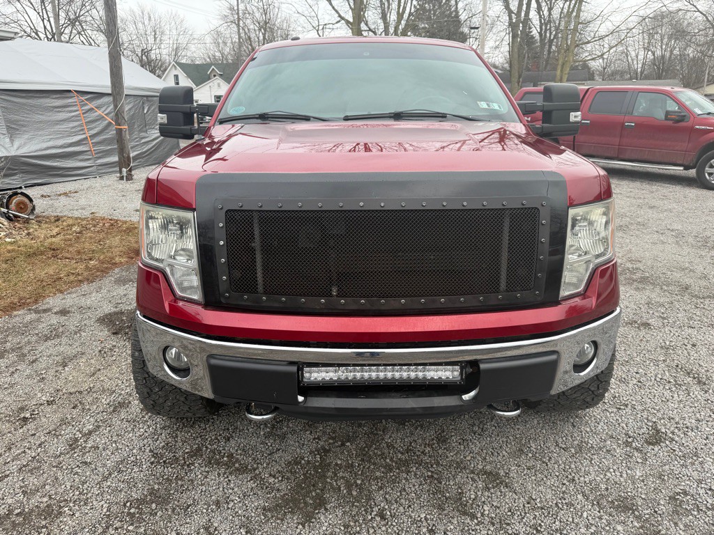 2014 Ford F-150 Image 2