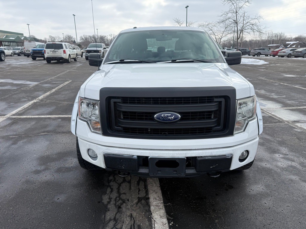 2014 Ford F-150 Image 2