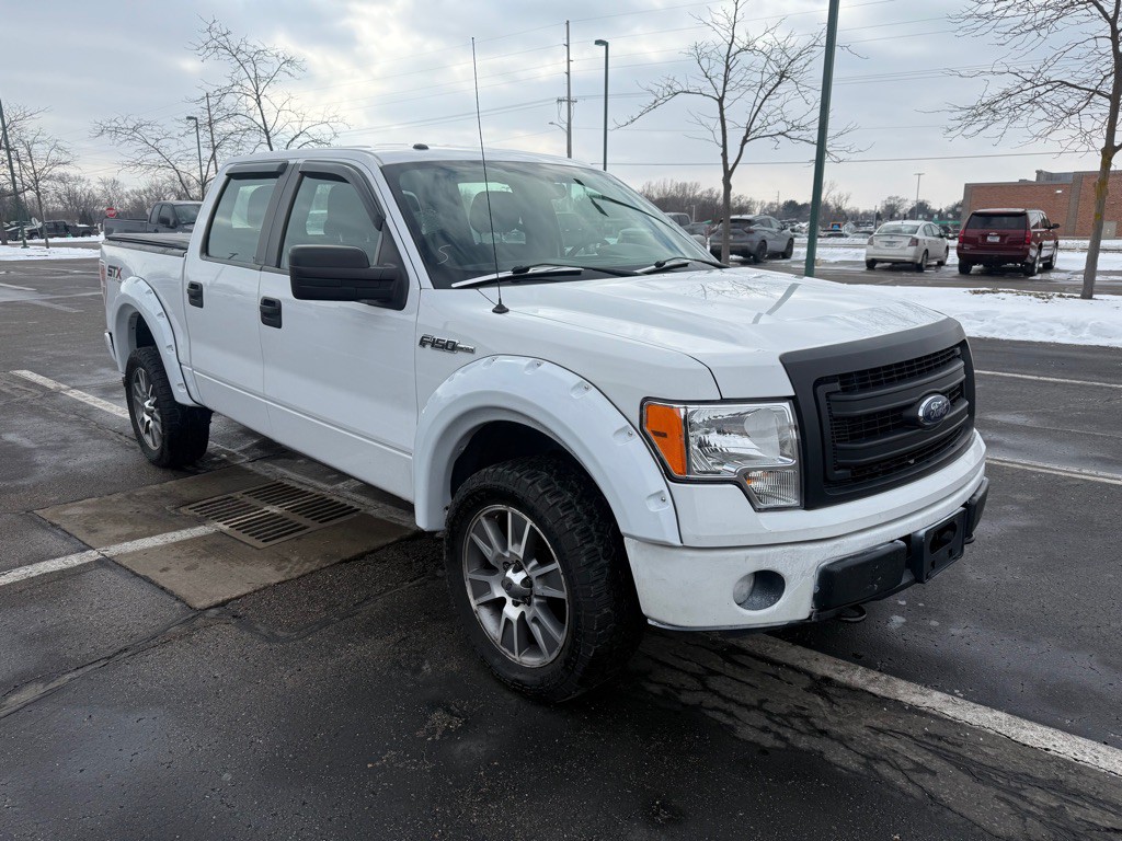 2014 Ford F-150 Image 3