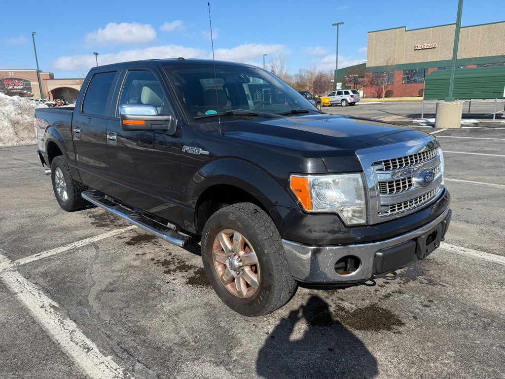 2013 Ford F-150 Image 3