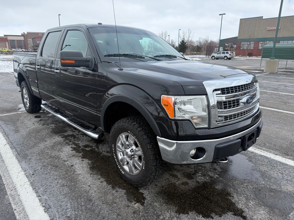 2013 Ford F-150 Image 3