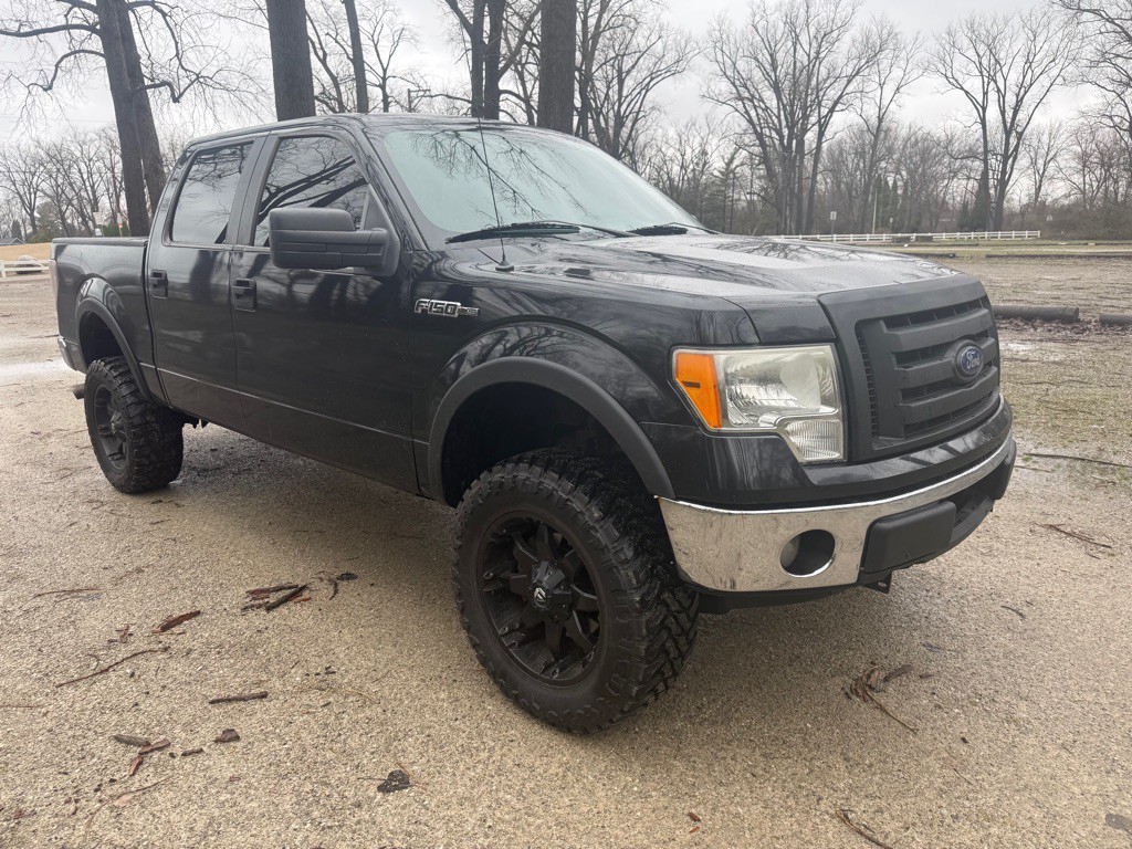 2011 Ford F-150 Image 3