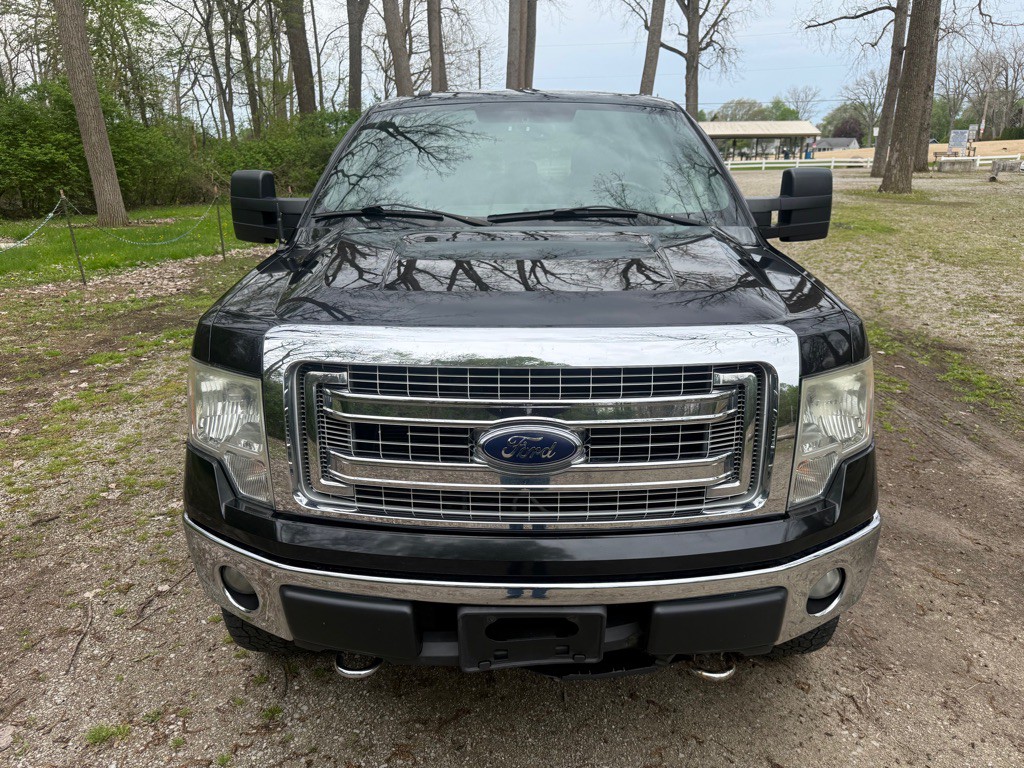 2013 Ford F-150 Image 2