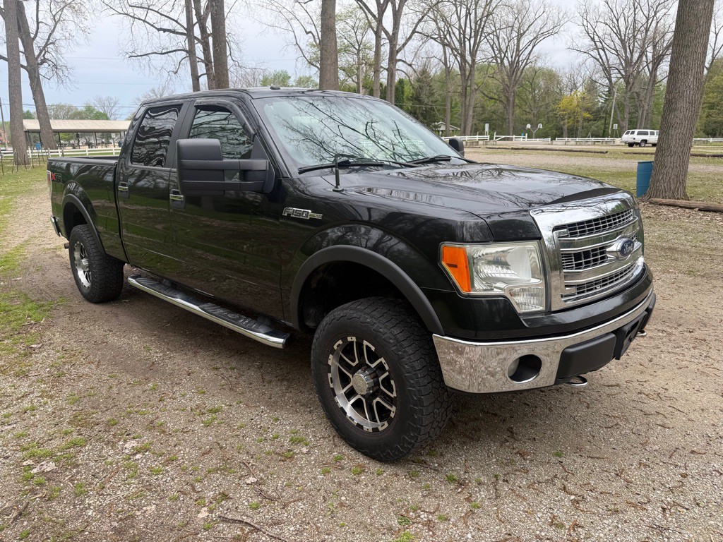 2013 Ford F-150 Image 3