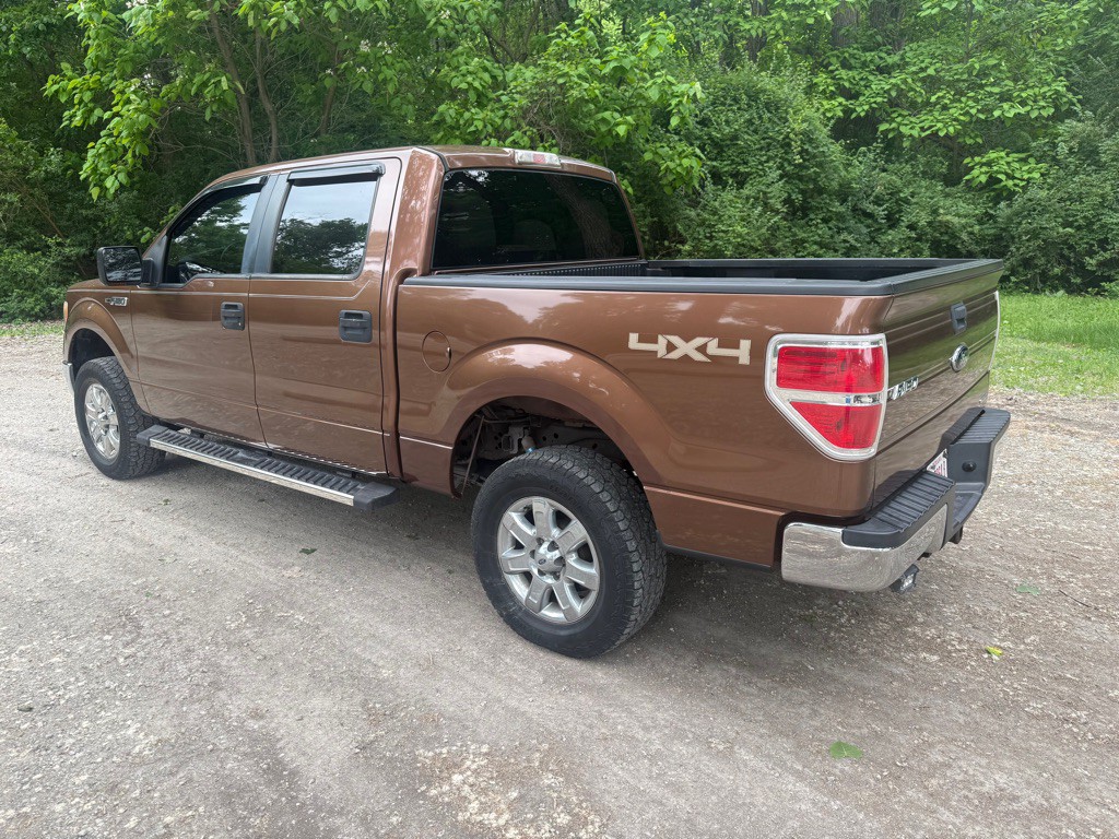 2011 Ford F-150 Image 3