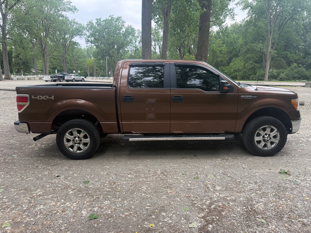 2011 Ford F-150 Image 6