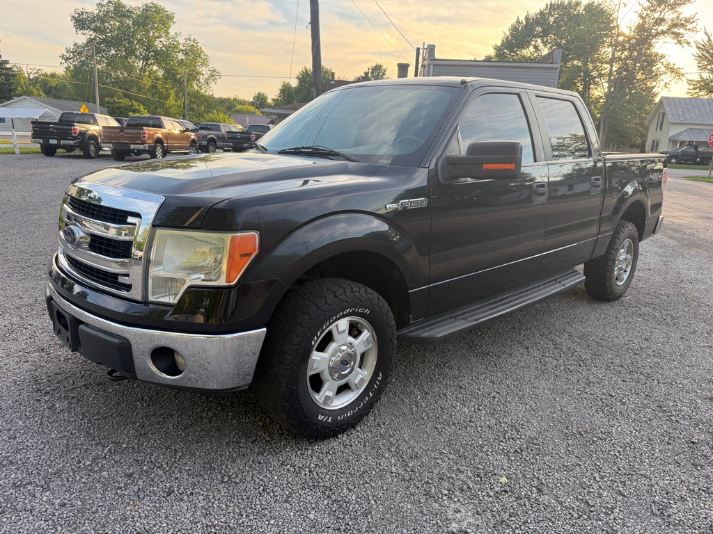 2014 Ford F-150 Image 1