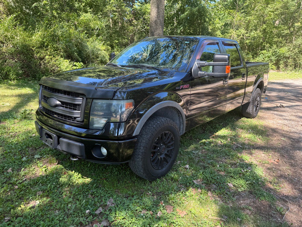 2014 Ford F-150 Image 1