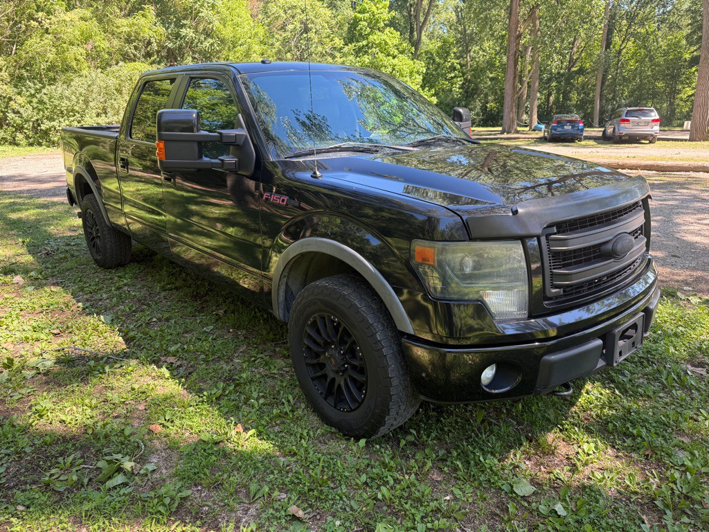 2014 Ford F-150 Image 3