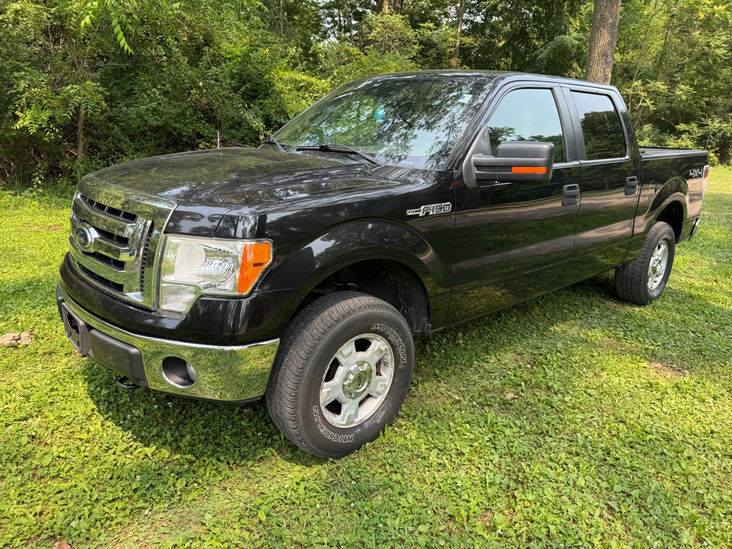 2012 Ford F-150 Image 1