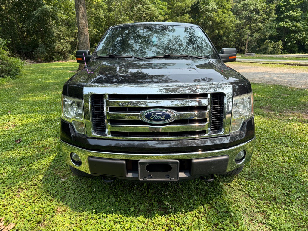 2012 Ford F-150 Image 2