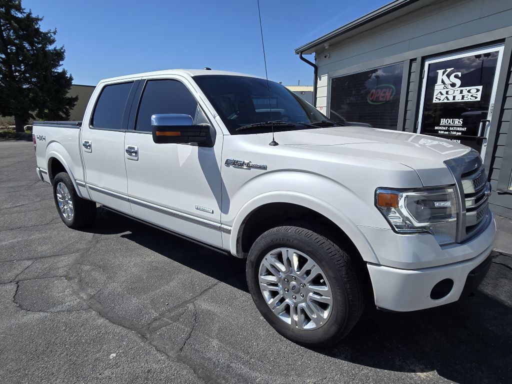 2014 Ford F-150 Image 1