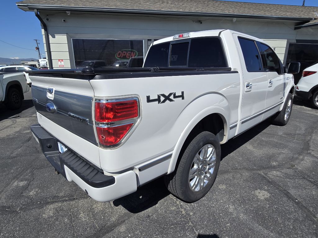 2014 Ford F-150 Image 3