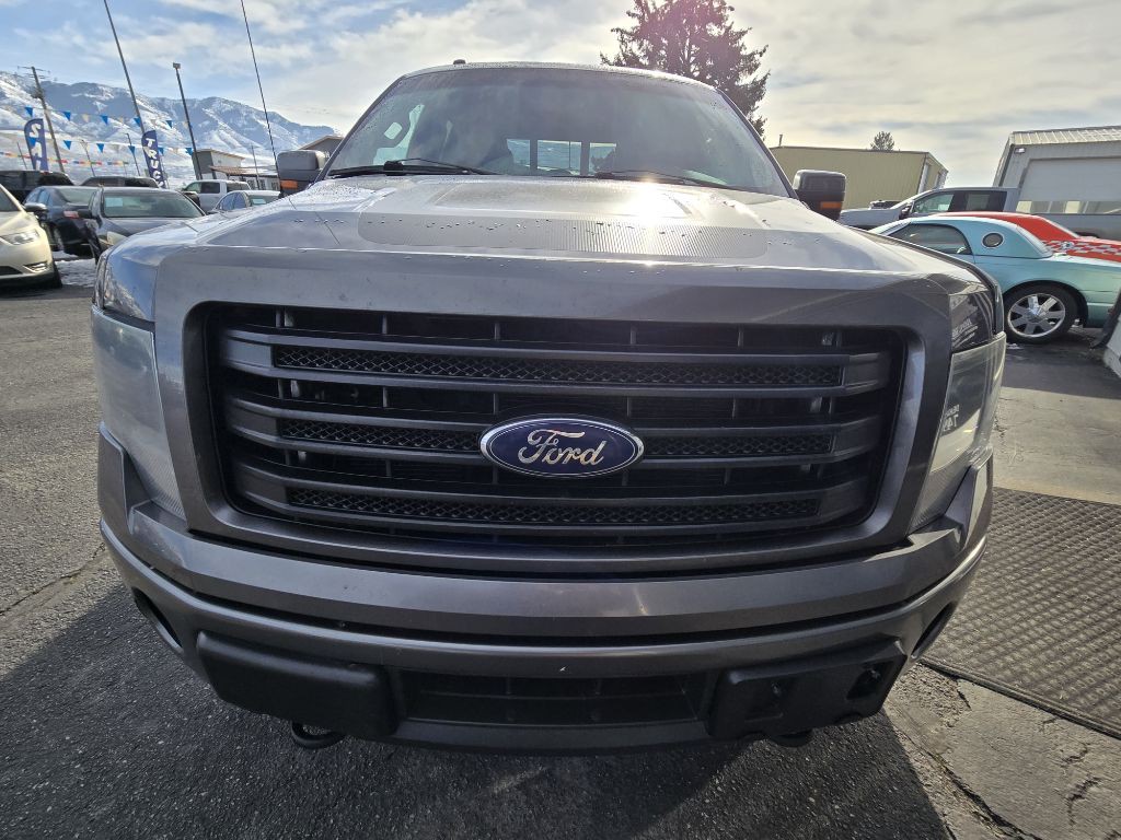 2014 Ford F-150 Image 10