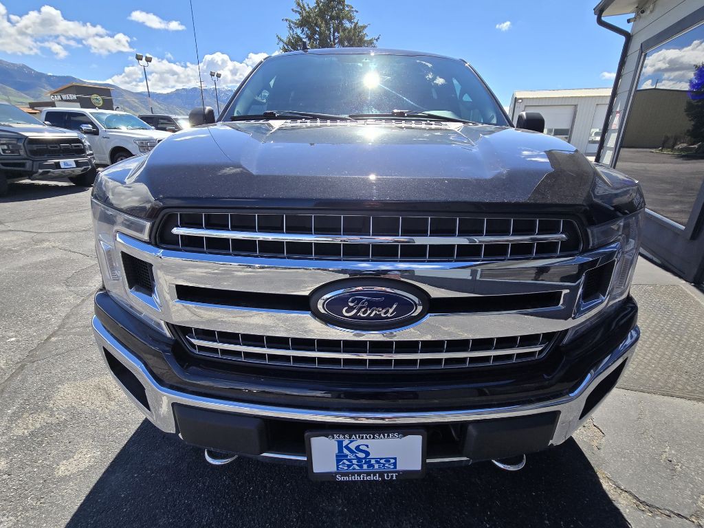 2019 Ford F-150 Image 10
