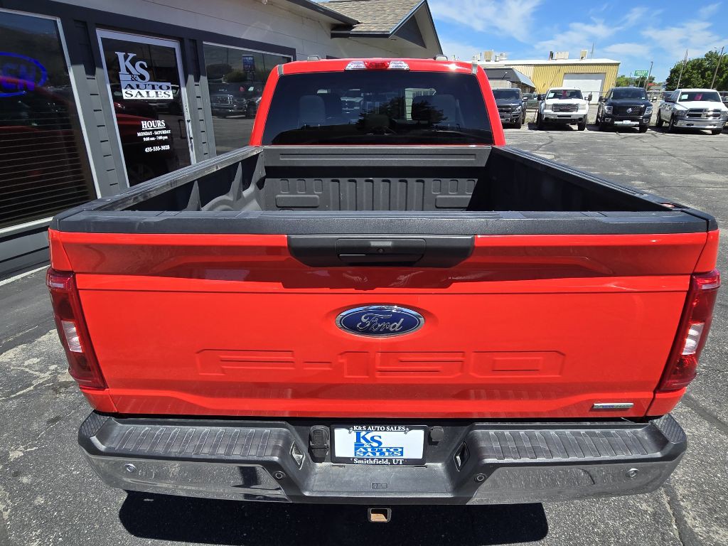 2023 Ford F-150 Image 4