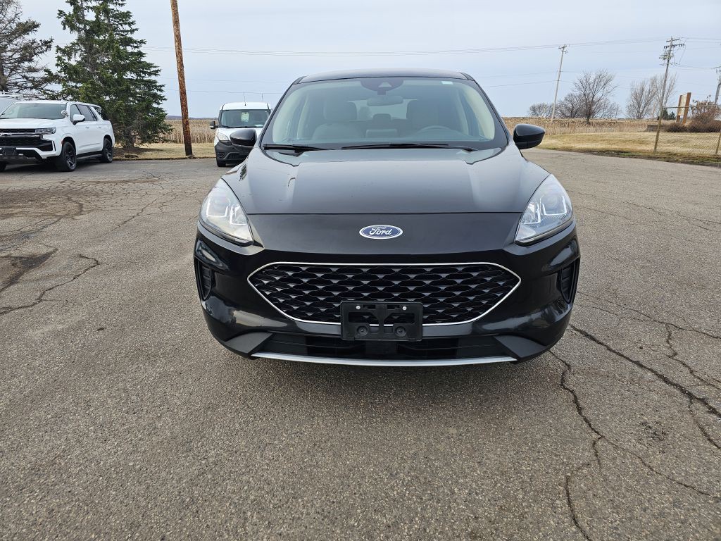 2020 Ford Escape Image 3