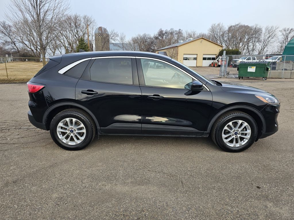 2020 Ford Escape Image 5