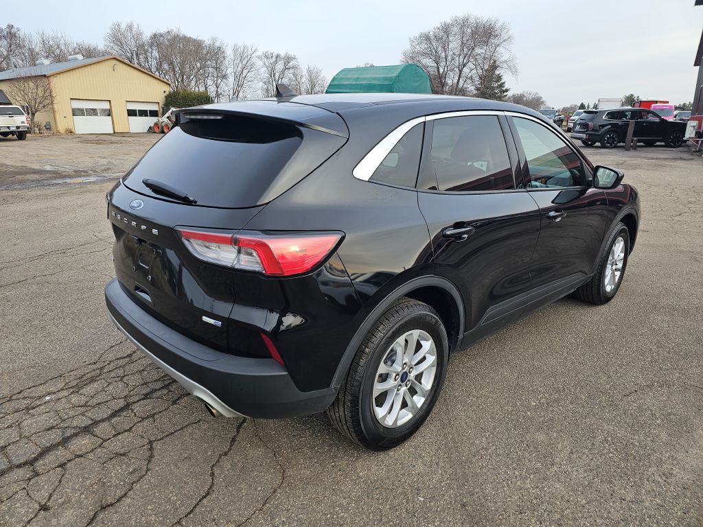 2020 Ford Escape Image 6
