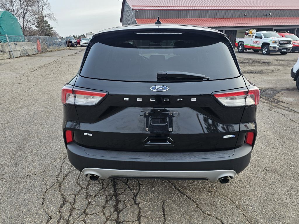 2020 Ford Escape Image 7