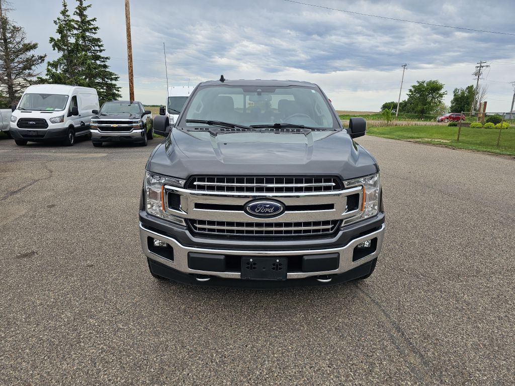2020 Ford F-150 Image 3