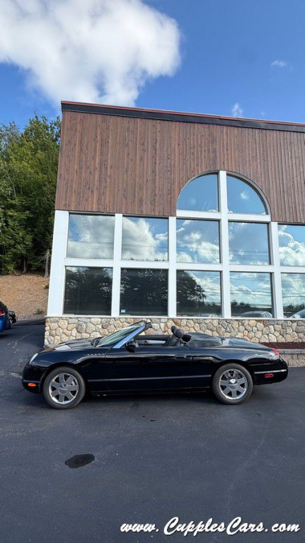 2002 Ford Thunderbird Image 27