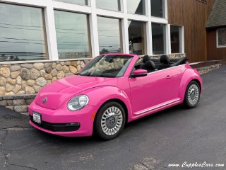 Image for 2014 Volkswagen Beetle Pink Custom ID: 6844863