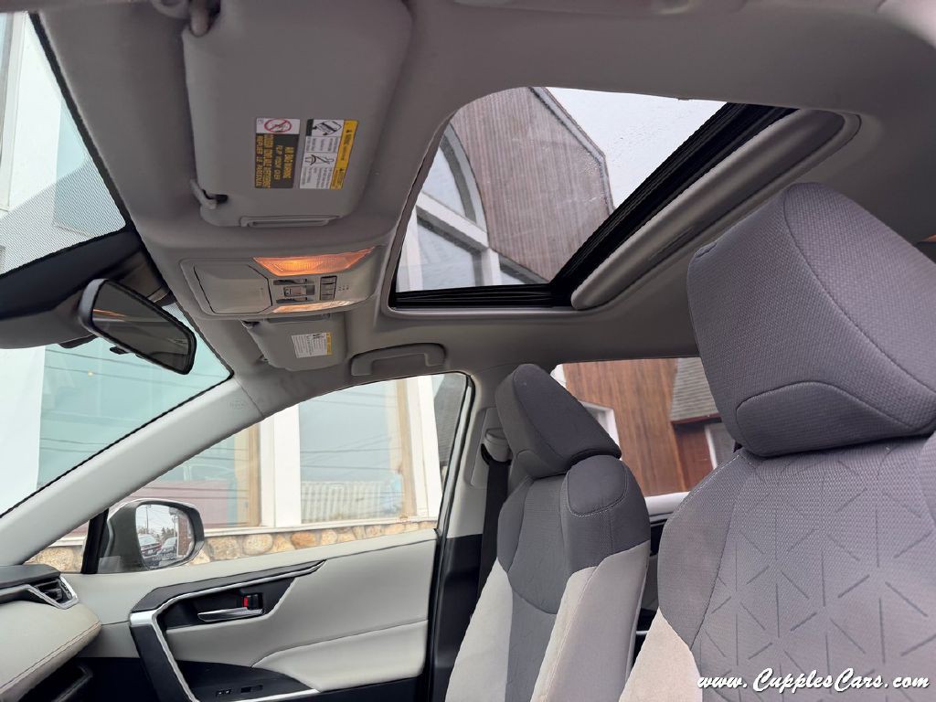 2019 Toyota Rav4 Image 7