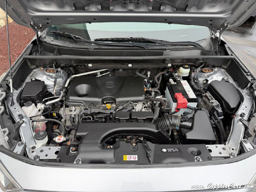2019 Toyota Rav4 Image 15
