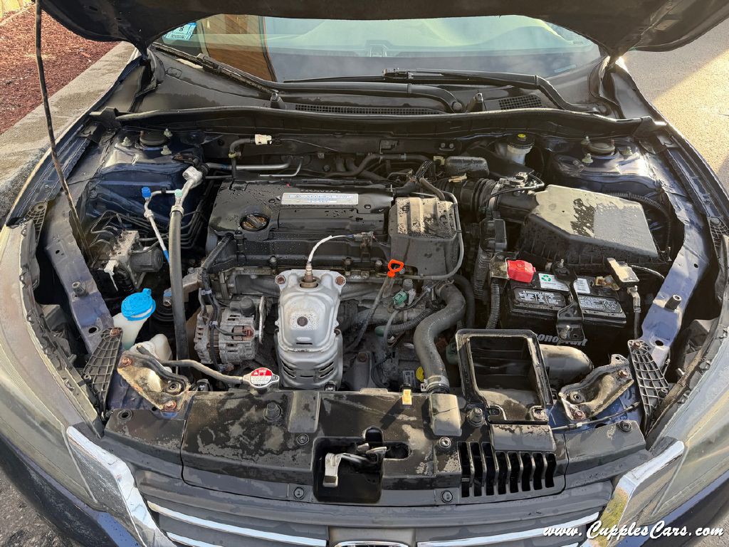 2014 Honda Accord Image 13