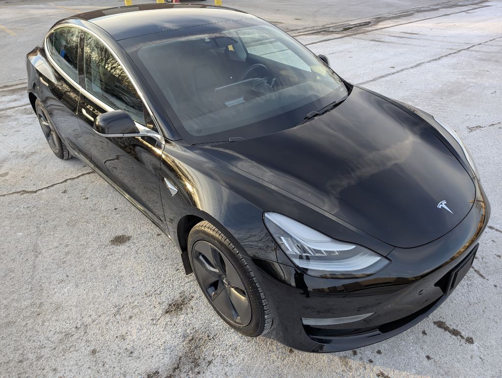 2019 Tesla Model 3 Image 2