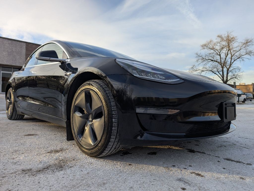 2019 Tesla Model 3 Image 3