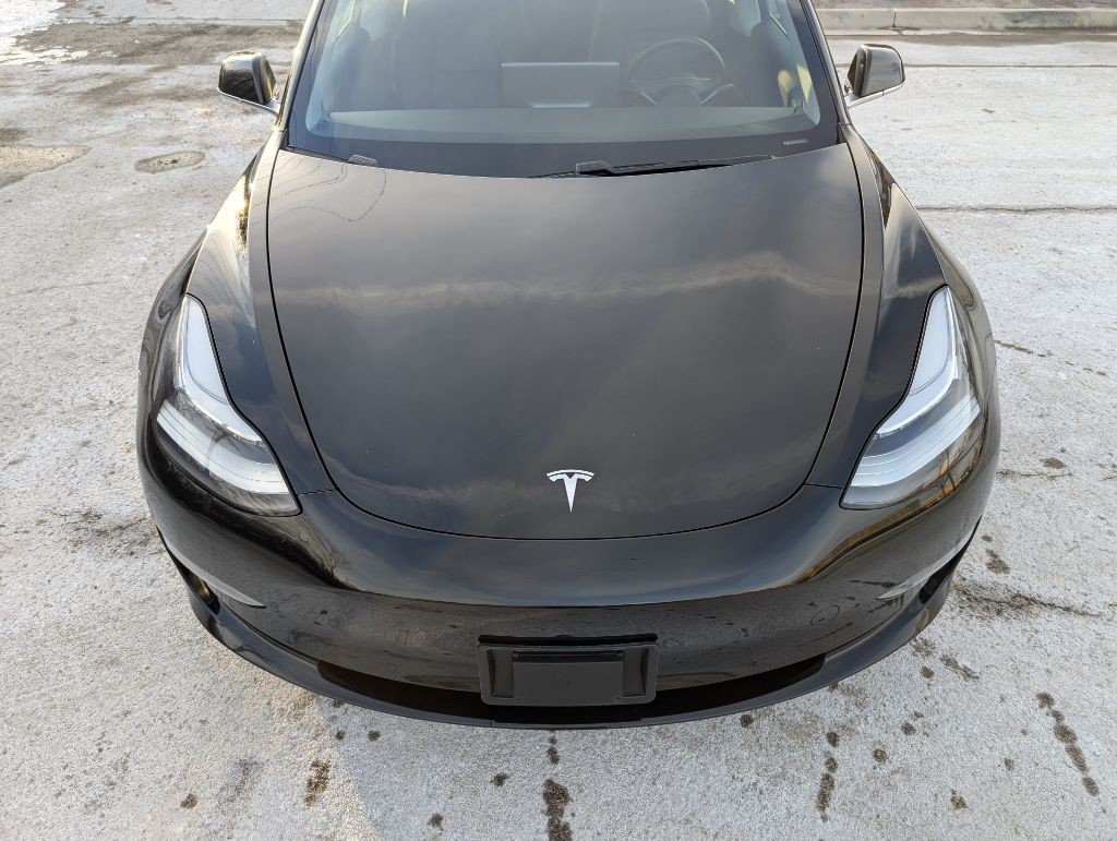 2019 Tesla Model 3 Image 4