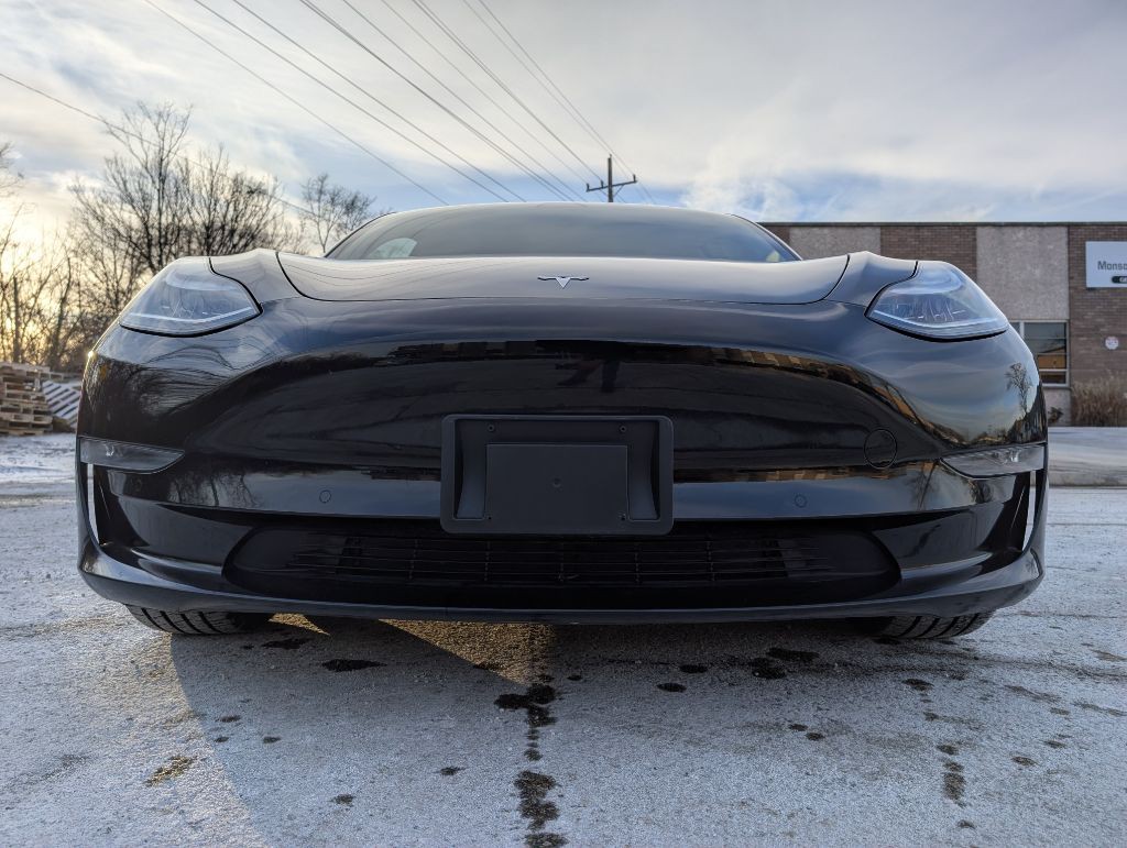 2019 Tesla Model 3 Image 5
