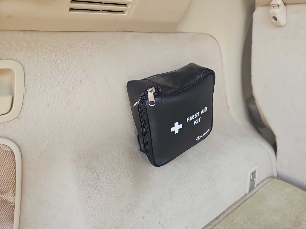 2010 Lexus RX Image 22