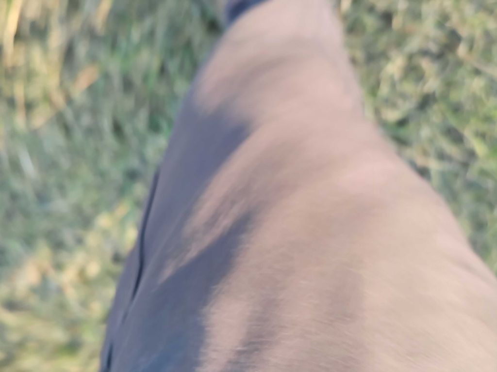 2017 Honda Civic Image 8